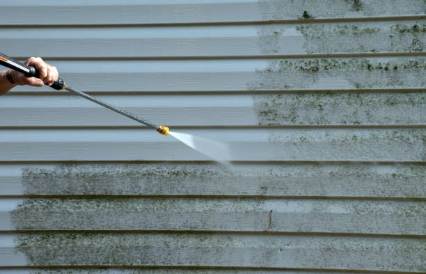Trusted Camilla, GA Pressure Washing Services Experts